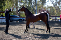 R2CH_Thurs_7957