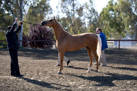 R2CH_Thurs_7965