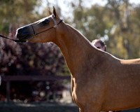 R2CH_Thurs_7966