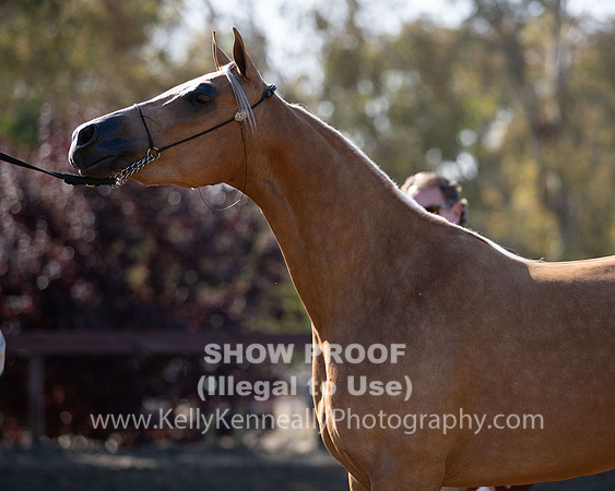 R2CH_Thurs_7966