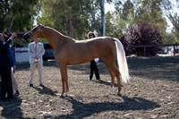 R2CH_Thurs_7968