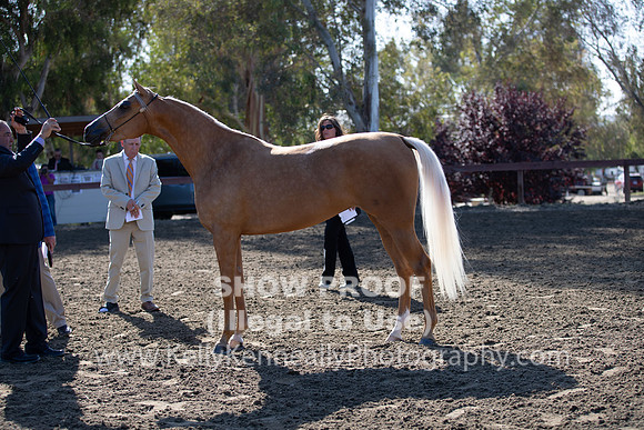 R2CH_Thurs_7968