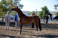 R2CH_Thurs_7981