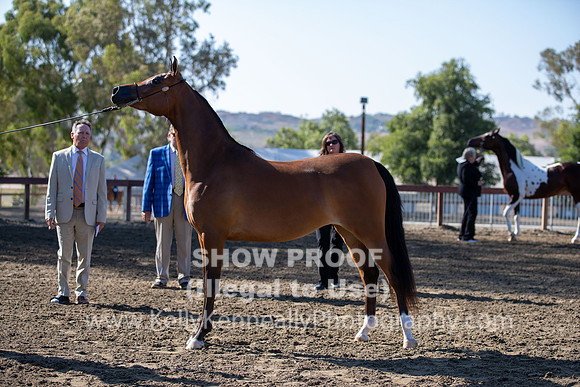 R2CH_Thurs_7981
