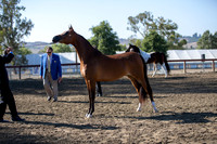 R2CH_Thurs_7982