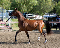 R2CH_Thurs_7985