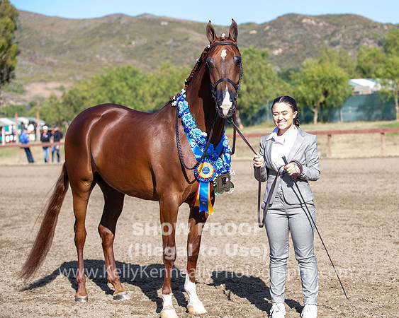 R2CH_Thurs_8059