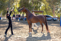 R2CH_Thurs_8195