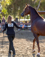 R2CH_Thurs_8199