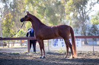 R2CH_Thurs_8201