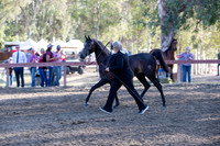 R2CH_Thurs_8283
