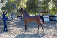 R2CH_Thurs_8288
