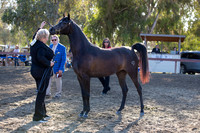 R2CH_Thurs_8295