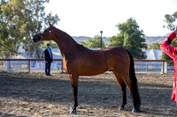 R2CH_Thurs_8364