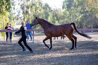 R2CH_Thurs_8368