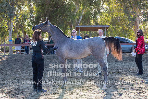 R2CH_Thurs_8482
