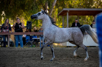 R2CH_Thurs_8549