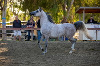 R2CH_Thurs_8551