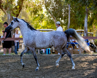 R2CH_Thurs_8555