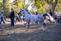 R2CH_Thurs_8556