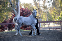 R2CH_Thurs_8568