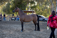 R2CH_Thurs_8574