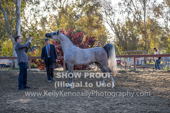 R2CH_Thurs_8597