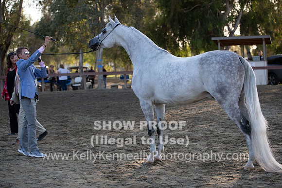 R2CH_Thurs_8832