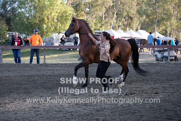 R2CH_Thurs_8905