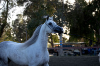 R2CH_Thurs_8963