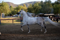 R2CH_Thurs_8986