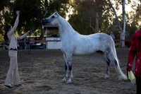 R2CH_Thurs_9010