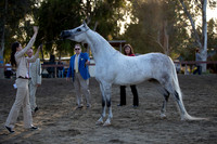 R2CH_Thurs_9014