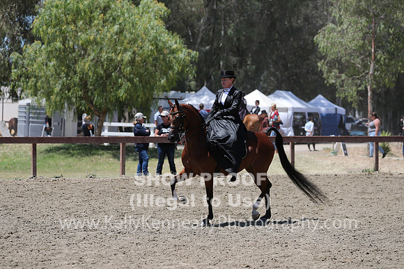 R2CH_Fri_Sidesaddle_0410
