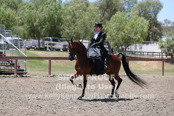 R2CH_Fri_Sidesaddle_0413