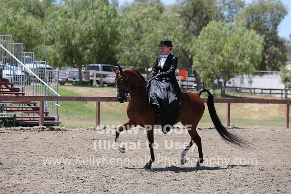 R2CH_Fri_Sidesaddle_0414