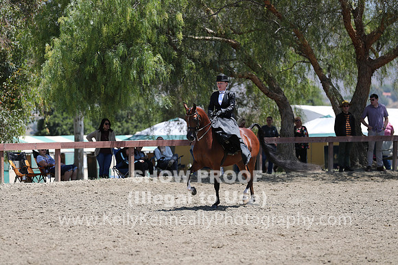 R2CH_Fri_Sidesaddle_0417