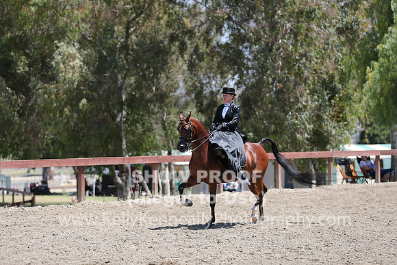 R2CH_Fri_Sidesaddle_0419