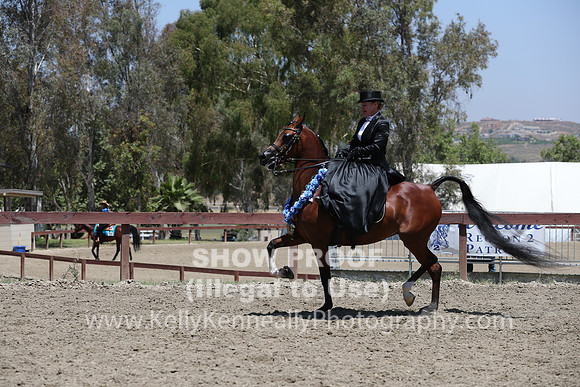 R2CH_Fri_Sidesaddle_0430