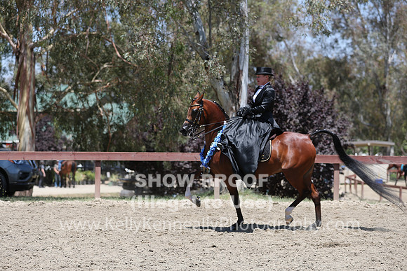 R2CH_Fri_Sidesaddle_0435