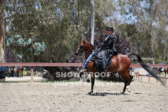 R2CH_Fri_Sidesaddle_0434