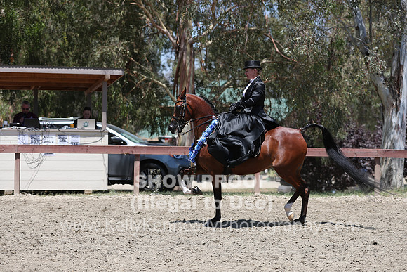 R2CH_Fri_Sidesaddle_0439
