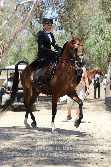 R2CH_Fri_Sidesaddle_1119