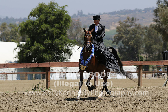 R2CH_Fri_Sidesaddle_1125