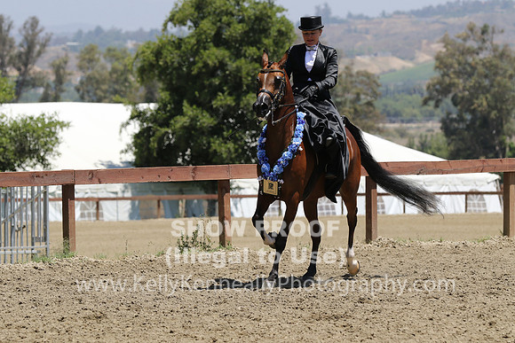 R2CH_Fri_Sidesaddle_1126