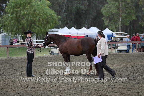 R2CH_Fri_9251