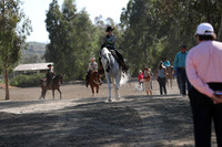 Class 257 Reg 2 Arabian Western Pleasure Championship JOTR 18 yrs/Under