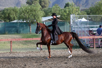 Class 262 Reg 2 HA/AA Country English Pleasure Championship AATR Choice/Elite