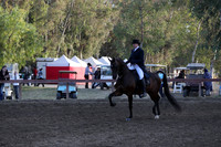 Class 265 Reg 2 HA/AA English Show Hack Championship