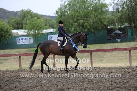 R2CH_Sat_4233